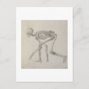 menschliches Skelett: seitliche Sicht in kruschend Postkarte