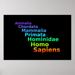 Menschliches Taxonomie-Plakat Poster