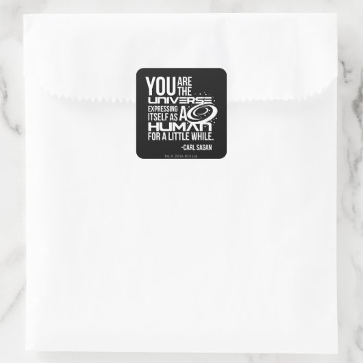 Menschliches Universum Quadratischer Aufkleber (Tasche)