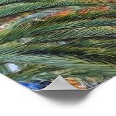 Menton Architecture Poster (Ecke)