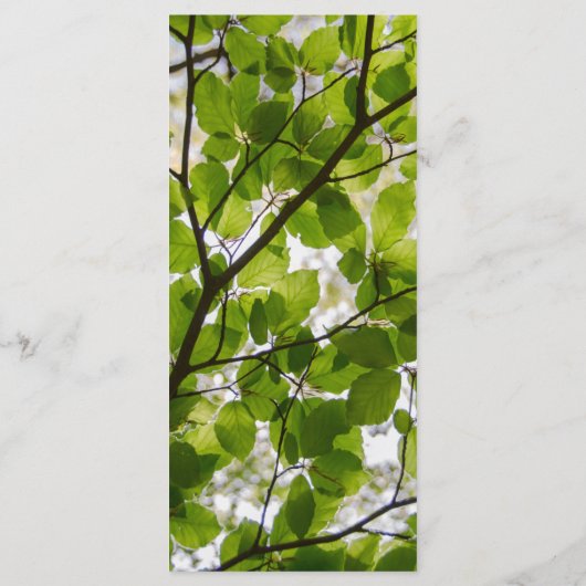 Menü "Grüne Blätter" Menükarte (Rückseite)