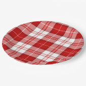 Menzies Tartan kariert Pappteller (Schrägansicht)