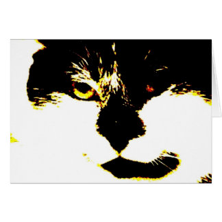 "Meow "