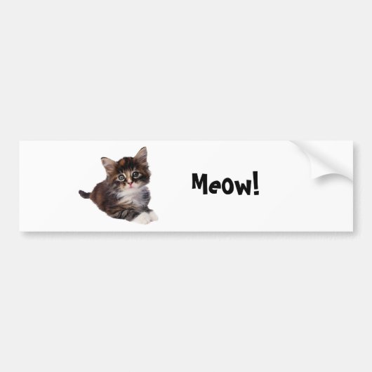 Meow! Autoaufkleber (Vorne)