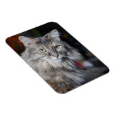 Meow Cat Portrait Magnet (Rechte Seite)