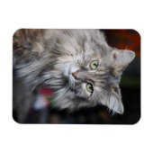 Meow Cat Portrait Magnet (Horizontal)