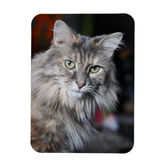 Meow Cat Portrait Magnet (Vertikal)