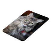 Meow Cat Portrait Magnet (Linke Seite)