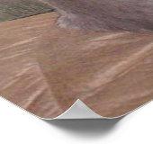 Meow Cats 11 Poster (Ecke)