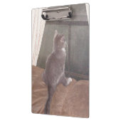 Meow Cats 11 Zwischenablage Klemmbrett (Links)