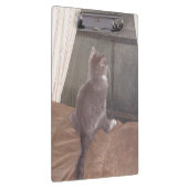Meow Cats 11 Zwischenablage Klemmbrett (Rechts)