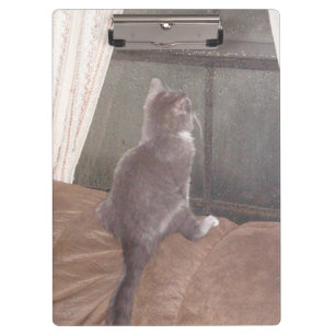 Meow Cats 11 Zwischenablage Klemmbrett