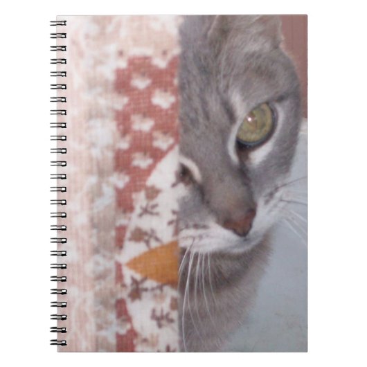 Meow Cats 13 Notebook Notizblock (Vorderseite)