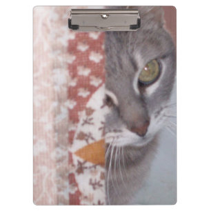 Meow Cats 13 Zwischenablage Klemmbrett