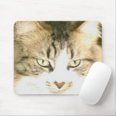 Meow Cats 14 Mousepad (Mit Mouse)