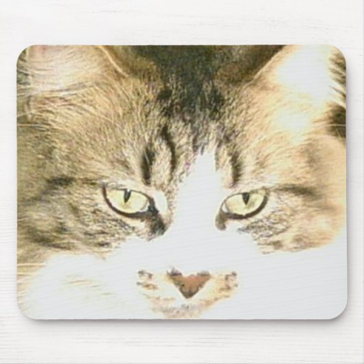 Meow Cats 14 Mousepad (Vorne)