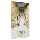 Meow Cats 14 Zwischenablage Klemmbrett (Rechts)