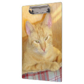 Meow Cats 15 Clip Board Klemmbrett (Links)