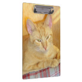 Meow Cats 15 Clip Board Klemmbrett (Rechts)