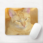 Meow Cats 15 Mousepad (Mit Mouse)