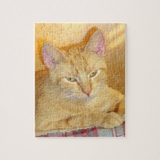 Meow Cats 15 Puzzle (Vertikal)