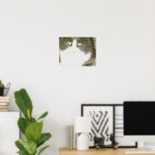 Meow Cats 18 Poster (Heimbüro)