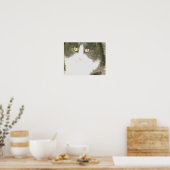 Meow Cats 18 Poster (Küche)