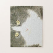 Meow Cats 18 Puzzle (Vertikal)