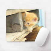 Meow Cats 1 MausPad (Mit Mouse)