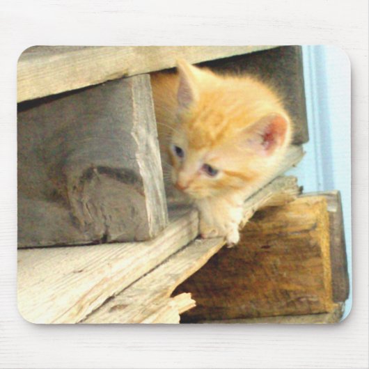 Meow Cats 1 MausPad (Vorne)