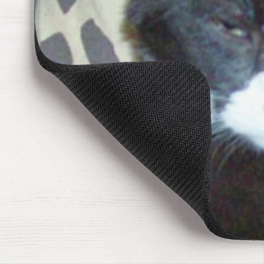 Meow Cats 20 Mousepad (Ecke)