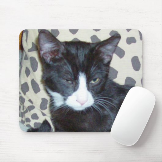 Meow Cats 20 Mousepad (Mit Mouse)