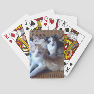 Meow Cats 21 Spielkarten