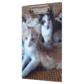 Meow Cats 21 Zwischenablage Klemmbrett (Links)