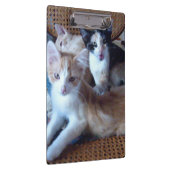 Meow Cats 21 Zwischenablage Klemmbrett (Rechts)