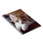 Meow Cats 22 Notebook Notizblock (Rechte Seite)