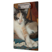 Meow Cats 23 Zwischenablage Klemmbrett (Links)