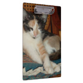 Meow Cats 23 Zwischenablage Klemmbrett (Rechts)