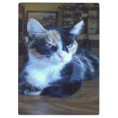 Meow Cats 24 Zwischenablage Klemmbrett (Rückseite)