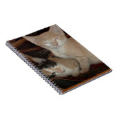 Meow Cats 28 Notebook Notizblock (Rechte Seite)