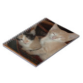 Meow Cats 28 Notebook Notizblock (Linke Seite)