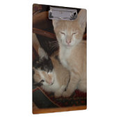 Meow Cats 28 Zwischenablage Klemmbrett (Rechts)