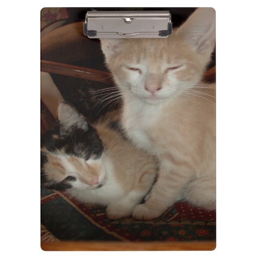 Meow Cats 28 Zwischenablage Klemmbrett (Vorderseite)