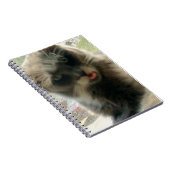 Meow Cats 2 Notebook Notizblock (Rechte Seite)