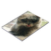 Meow Cats 2 Notebook Notizblock (Linke Seite)