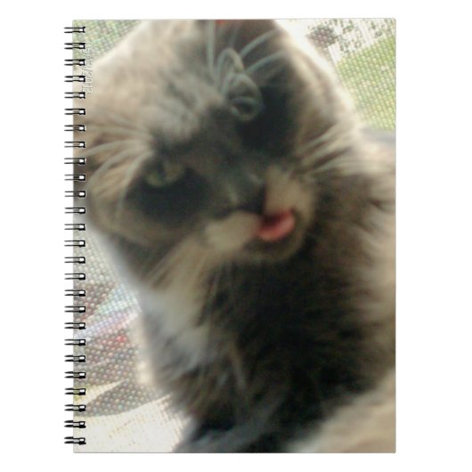Meow Cats 2 Notebook Notizblock (Vorderseite)