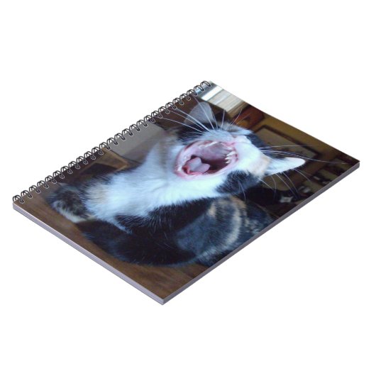Meow Cats 30 Notebook Notizblock (Linke Seite)