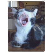 Meow Cats 30 Zwischenablage Klemmbrett (Rückseite)