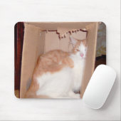 Meow Cats 31 Mousepad (Mit Mouse)