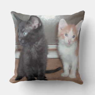 Meow Cats 32 Square Throw Kissen